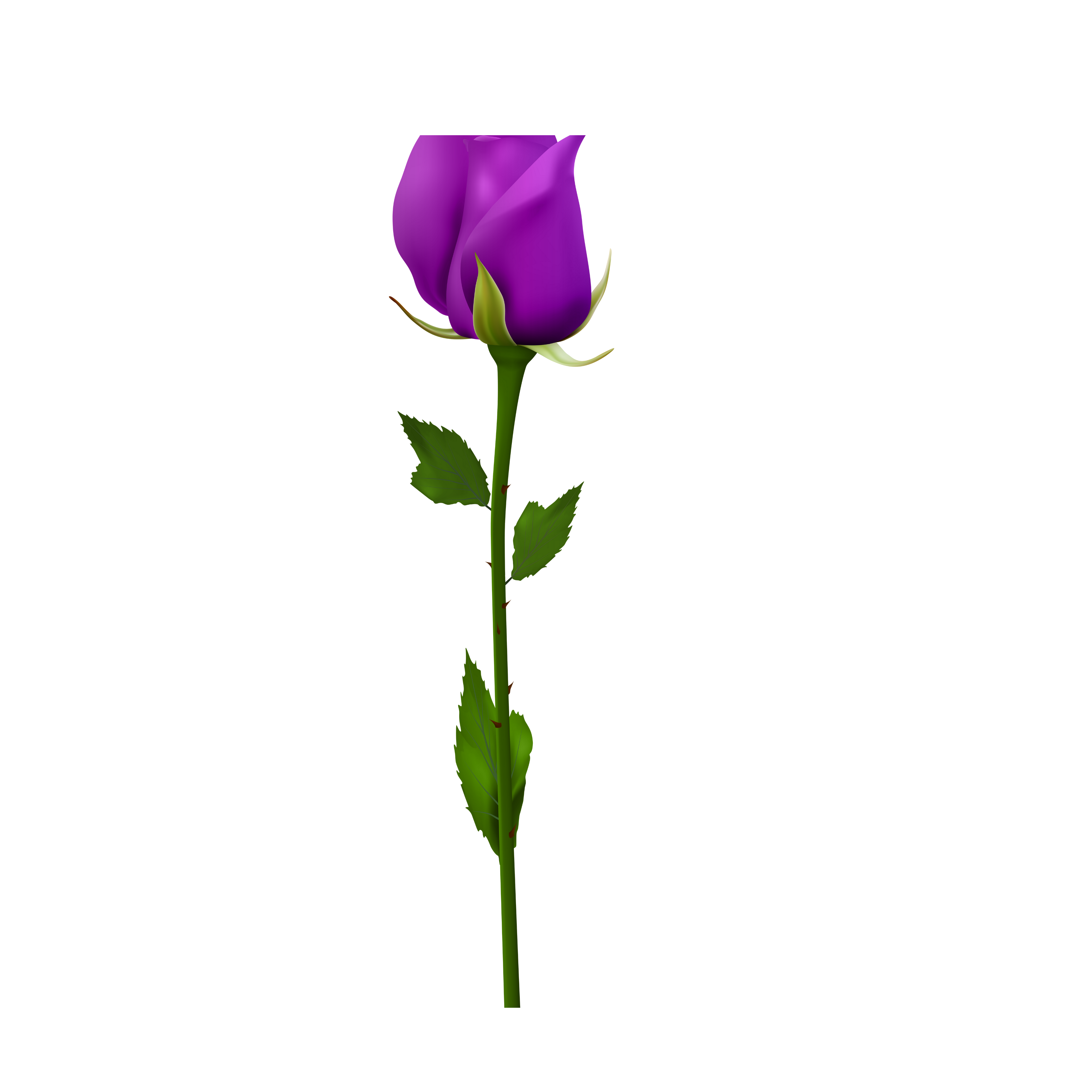 Purple Rose (1Pcs)