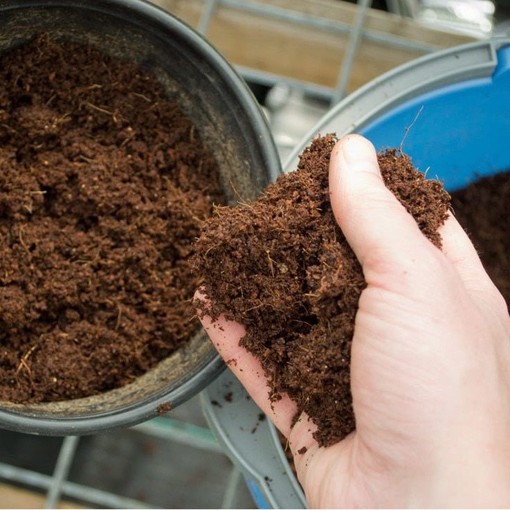 Soil (Holland)