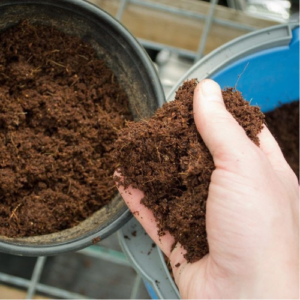 Soil (Holland)